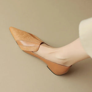 Apricot